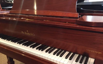 Blog 5 From Nursery Rhymes to Rachmaninoff: Child‑Friendly Piano Care Tips for Busy Families